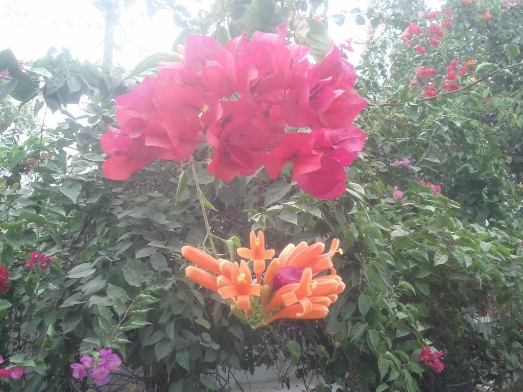 Jheelam Homestay Bhopal Exterior photo