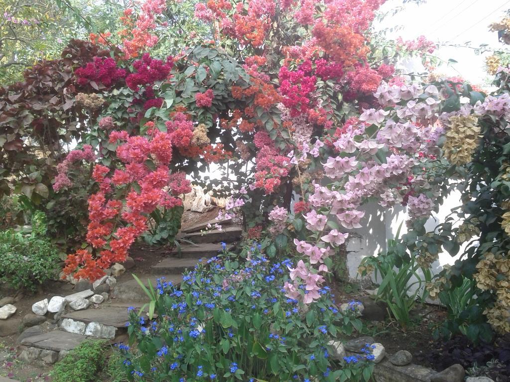 Jheelam Homestay Bhopal Exterior photo