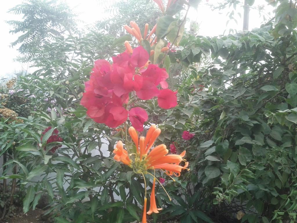 Jheelam Homestay Bhopal Exterior photo