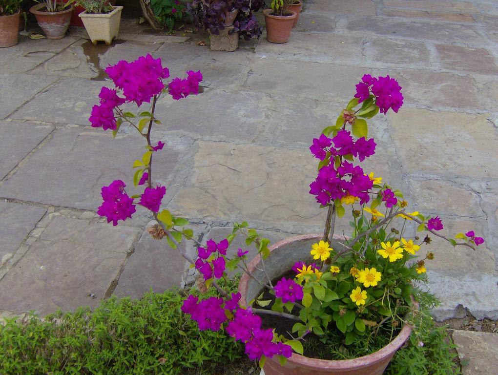 Jheelam Homestay Bhopal Exterior photo