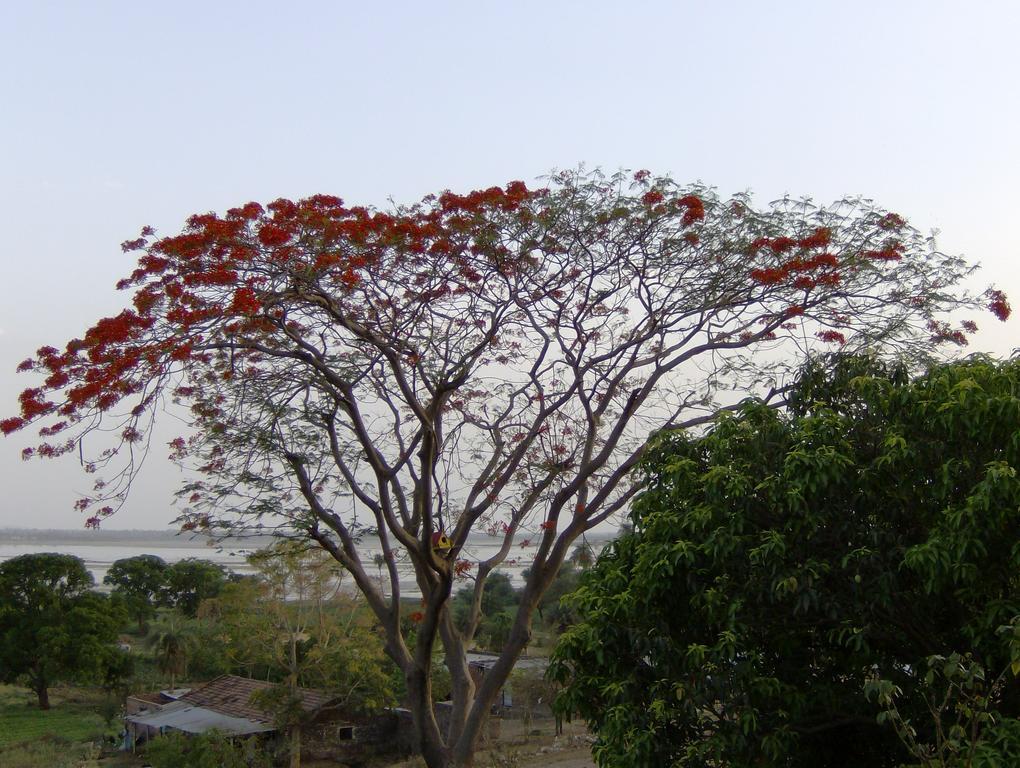Jheelam Homestay Bhopal Exterior photo