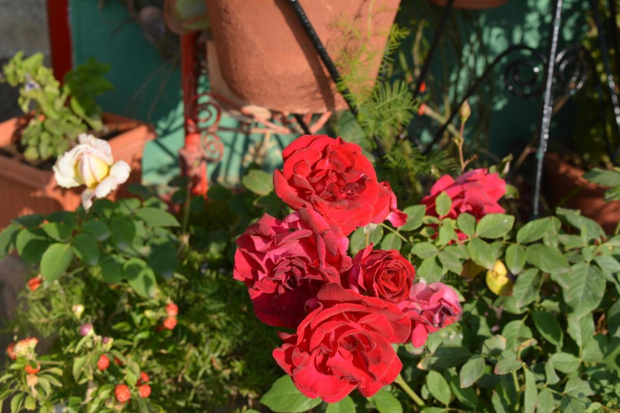 Jheelam Homestay Bhopal Exterior photo
